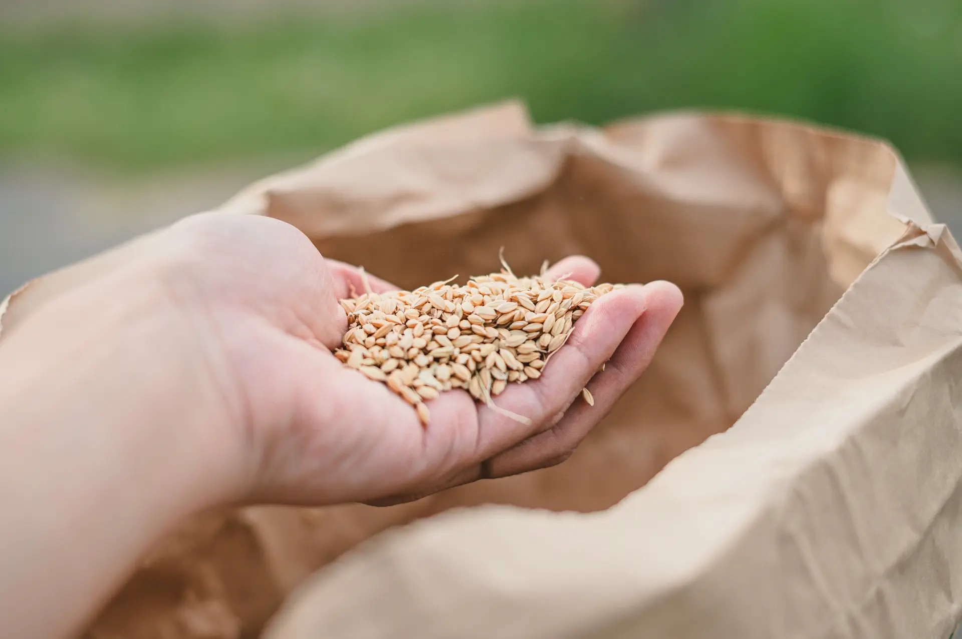 玄米が手に入るならホーム精米機はマストアイテム